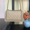 Chanel Boy Mini Bag BL67085