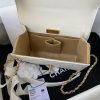 Chanel Lambskin Trendy Chain Bag BPAS2796