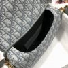 Dior Bobby Monogram Handbag AXM9319