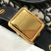 Dior Bobby Monogram Handbag AXM9319