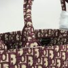 Dior Book Tote Bag WW1088