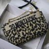 Dior Medium Caro Bag AXM8017