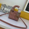 Dior Mini Lady Handbag WW9072