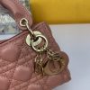 Dior Mini Lady Handbag WW9072