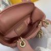 Dior Mini Lady Handbag WW9072