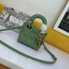 Dior Mini Lady Handbag WW9072