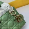 Dior Mini Lady Handbag WW9072