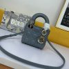 Dior Mini Lady Handbag WW9072