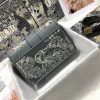 Dior Montaigne 30 Crossbody Bag AXM9203