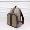 Gucci Backpack BG547967