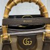 Gucci Diana Jumba Mini Tote Bag WD6556
