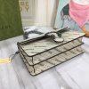 Gucci Dionysus Hobo Chain Bag WD400249