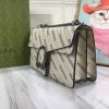 Gucci Dionysus Hobo Chain Bag WD400249