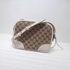Gucci GG Canvas Leather Crossbody Bag WD387360