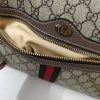 Gucci Ophidia Coated Canvas Small Crossbody Bag WD517080