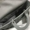 Lady Dior Bag AXM0566