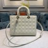 Lady Dior Bag AXM0567