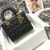 Lady Dior Bag AXM0579