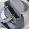 Lady Dior Mini Bag AXM8013