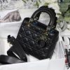 Lady Dior Mini Bag AXM8013