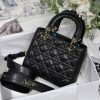 Lady Dior Mini Bag AXM8013