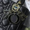 Lady Dior Mini Bag AXM8013
