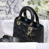 Lady Dior Mini Bag AXM8013