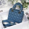 Lady Dior Mini Bag AXM8013