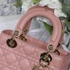 Lady Dior Mini Bag AXM8013