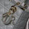Lady Dior Mini Bag AXM8013