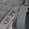 Lady Dior Mini Bag AXM8013