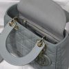 Lady Dior Mini Bag AXM8013
