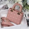 Lady Dior Mini Bag AXM8013