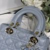 Lady Dior Mini Bag AXM8013
