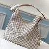 Louis Vuitton Damier Canvas Handbag AF5548058