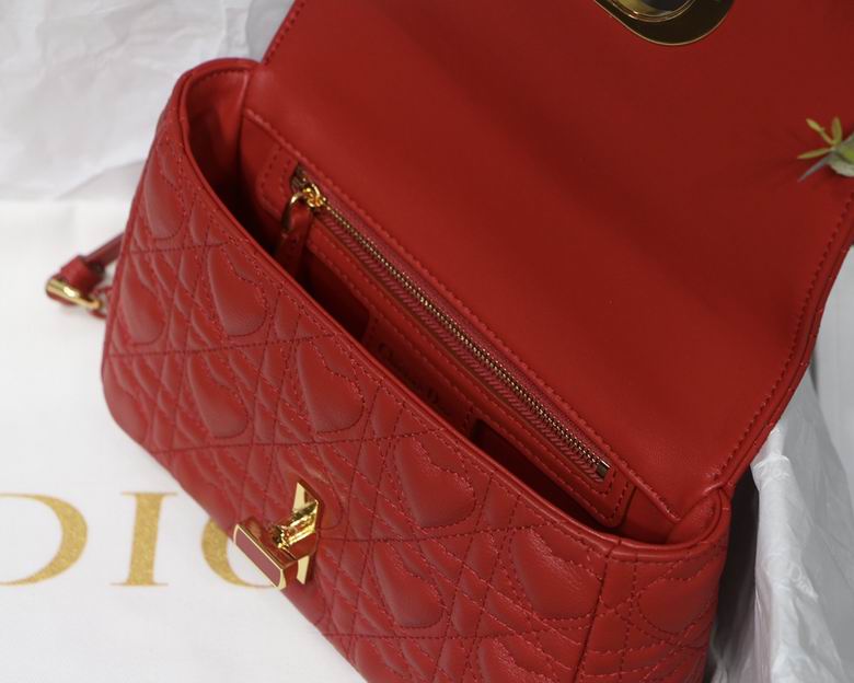 Medium Dior Caro Shoulder Bag AXM8016