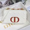 Medium Dior Caro Shoulder Bag AXM8016