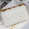 Medium Dior Caro Shoulder Bag AXM8016